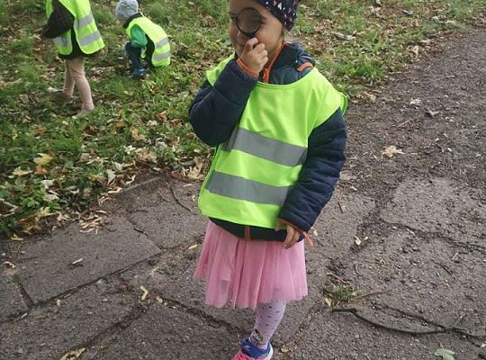 GR II Wyjście do parku