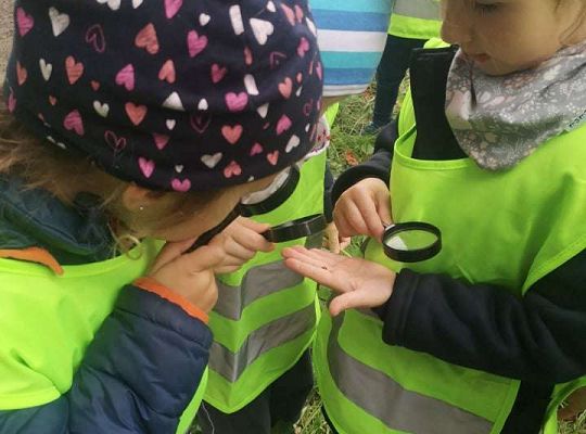 GR II Wyjście do parku