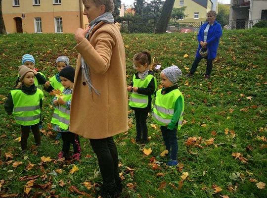 GR II Wyjście do parku