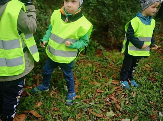 GR II Wyjście do parku