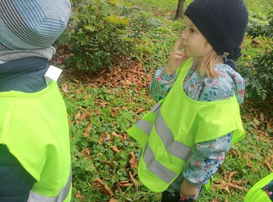 GR II Wyjście do parku