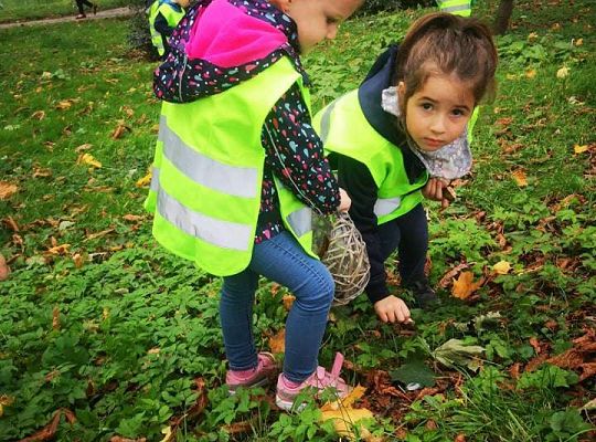 GR II Wyjście do parku