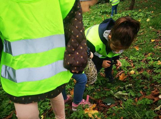 GR II Wyjście do parku