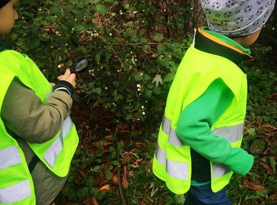GR II Wyjście do parku