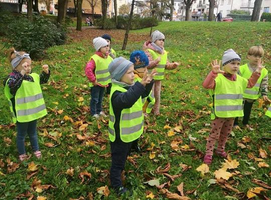 GR II Wyjście do parku