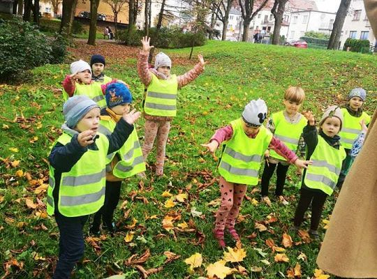 GR II Wyjście do parku