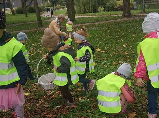 GR II Wyjście do parku