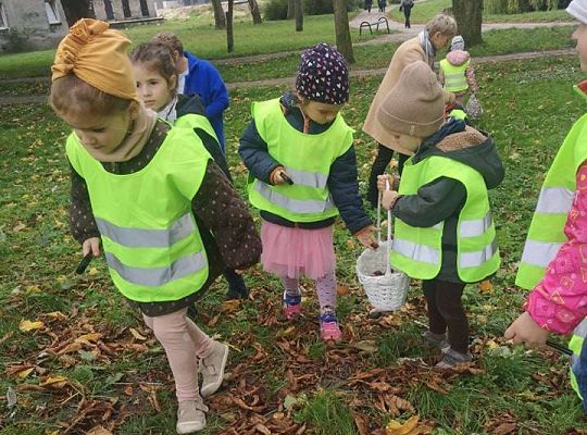 GR II Wyjście do parku