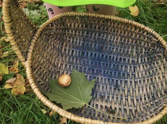 GR II Wyjście do parku