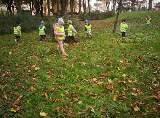 GR II Wyjście do parku