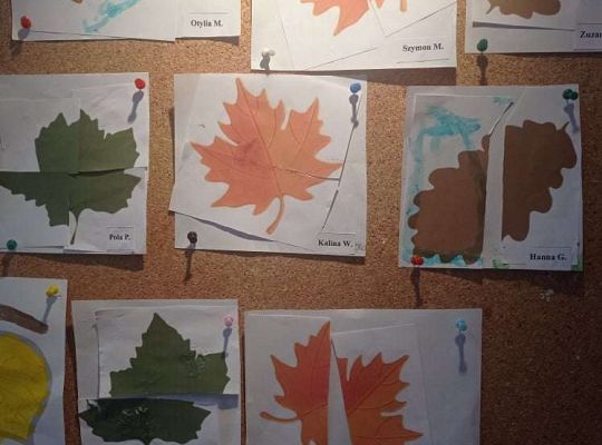 GR. I Listkowe puzzle i jarzębinka