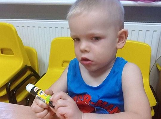 GR. I Listkowe puzzle i jarzębinka