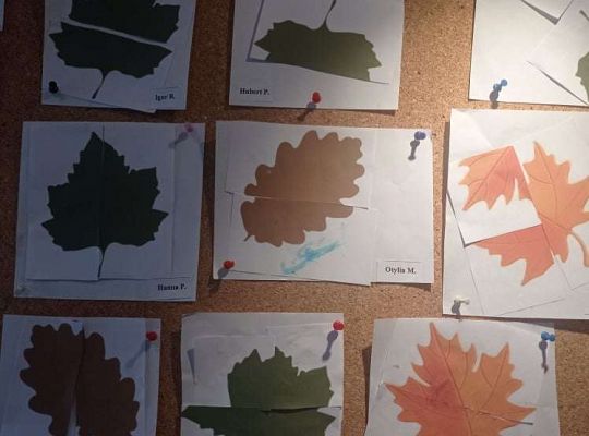 GR. I Listkowe puzzle i jarzębinka