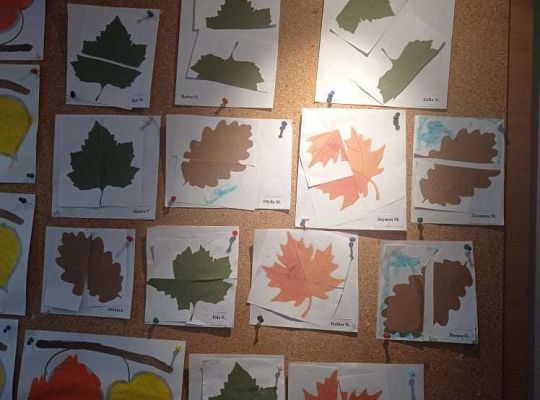 GR. I Listkowe puzzle i jarzębinka