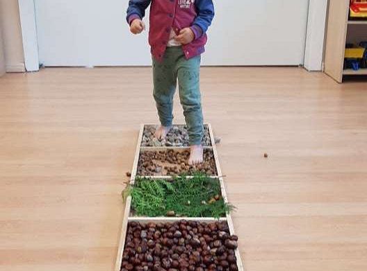 GR. II Jesienna ścieżka sensoryczna