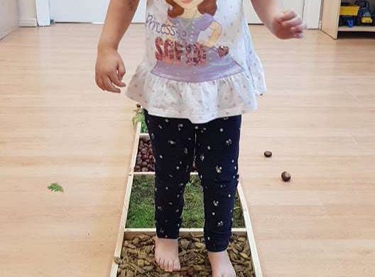 GR. II Jesienna ścieżka sensoryczna