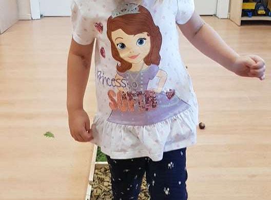 GR. II Jesienna ścieżka sensoryczna