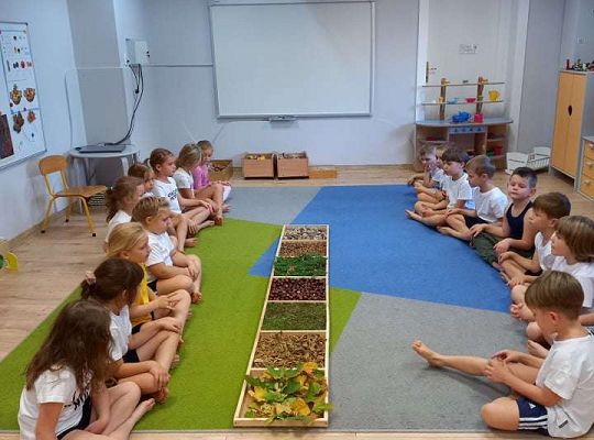 Gr.IV Jesienna ścieżka sensoryczna