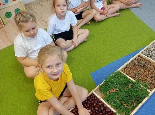 Gr.IV Jesienna ścieżka sensoryczna