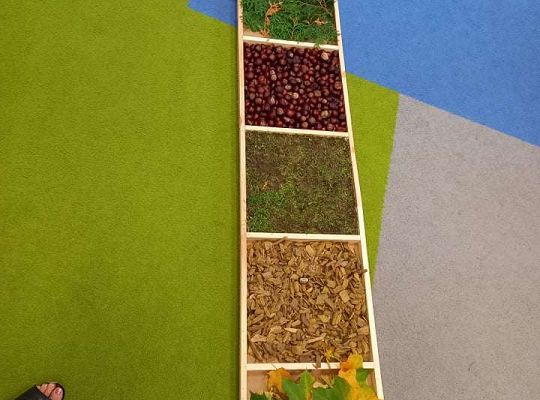 Gr.IV Jesienna ścieżka sensoryczna