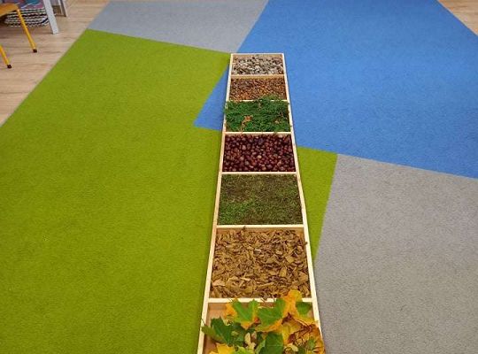 Gr.IV Jesienna ścieżka sensoryczna