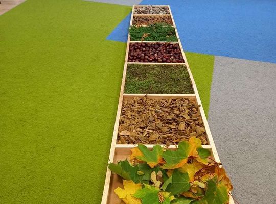 Gr.IV Jesienna ścieżka sensoryczna