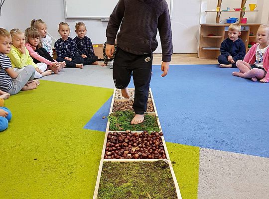 Gr. III Jesienna ścieżka sensoryczna