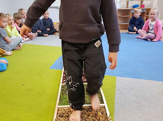 Gr. III Jesienna ścieżka sensoryczna