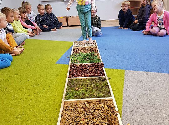 Gr. III Jesienna ścieżka sensoryczna