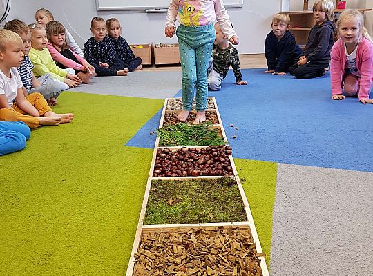 Gr. III Jesienna ścieżka sensoryczna