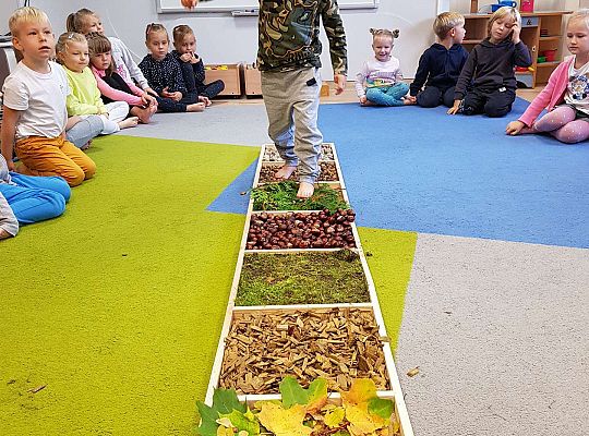 Gr. III Jesienna ścieżka sensoryczna