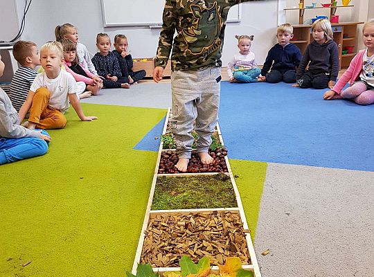 Gr. III Jesienna ścieżka sensoryczna