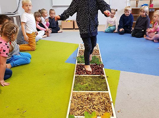 Gr. III Jesienna ścieżka sensoryczna