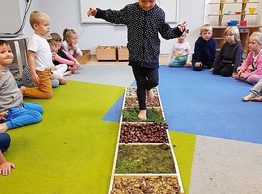 Gr. III Jesienna ścieżka sensoryczna