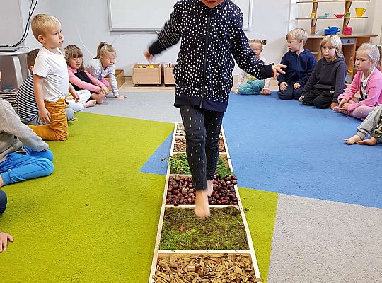 Gr. III Jesienna ścieżka sensoryczna