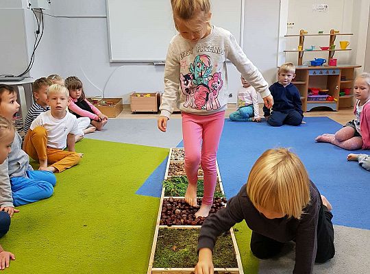 Gr. III Jesienna ścieżka sensoryczna