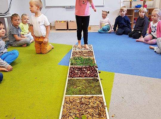 Gr. III Jesienna ścieżka sensoryczna