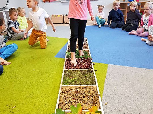 Gr. III Jesienna ścieżka sensoryczna