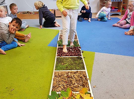 Gr. III Jesienna ścieżka sensoryczna