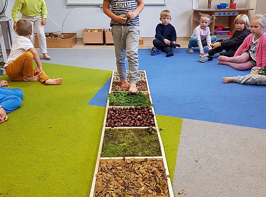 Gr. III Jesienna ścieżka sensoryczna