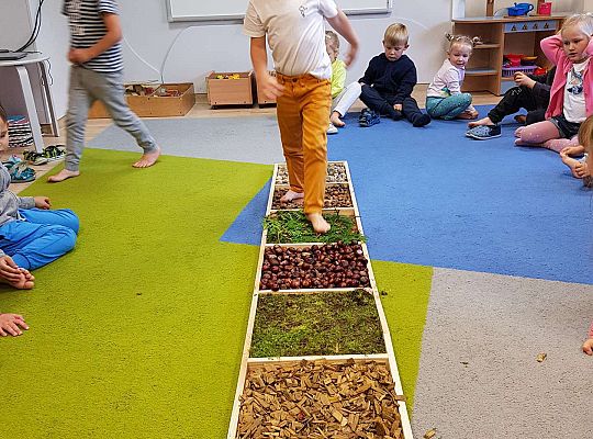 Gr. III Jesienna ścieżka sensoryczna