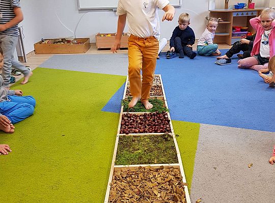 Gr. III Jesienna ścieżka sensoryczna