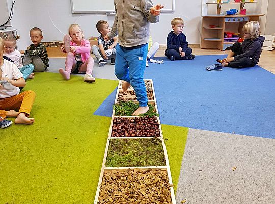 Gr. III Jesienna ścieżka sensoryczna