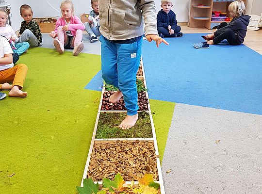 Gr. III Jesienna ścieżka sensoryczna