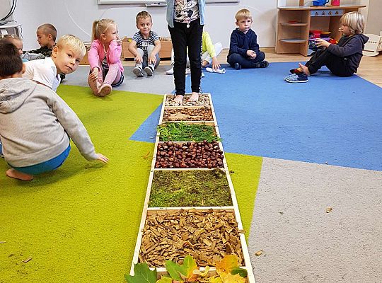 Gr. III Jesienna ścieżka sensoryczna