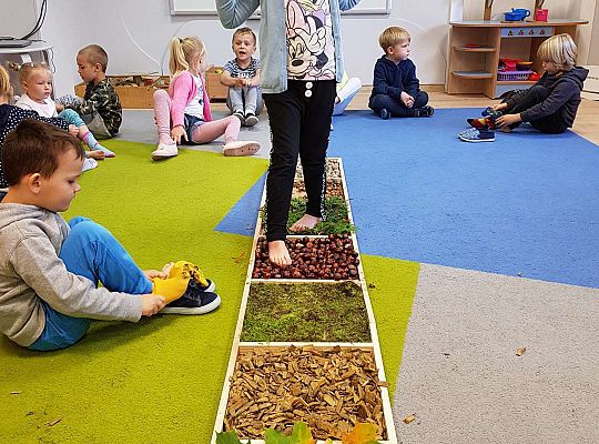 Gr. III Jesienna ścieżka sensoryczna