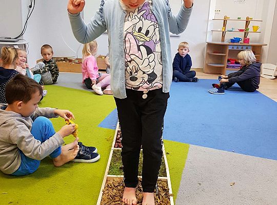 Gr. III Jesienna ścieżka sensoryczna