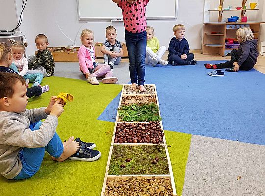 Gr. III Jesienna ścieżka sensoryczna