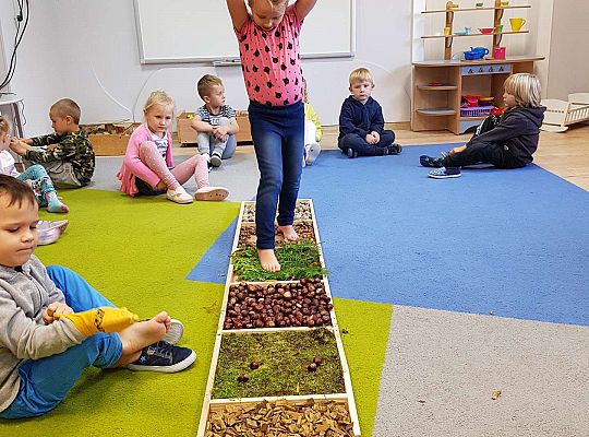 Gr. III Jesienna ścieżka sensoryczna