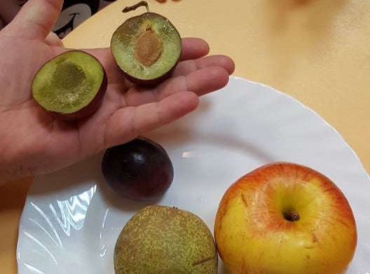 GR. I "Pyszne, zdrowe i słodkie"